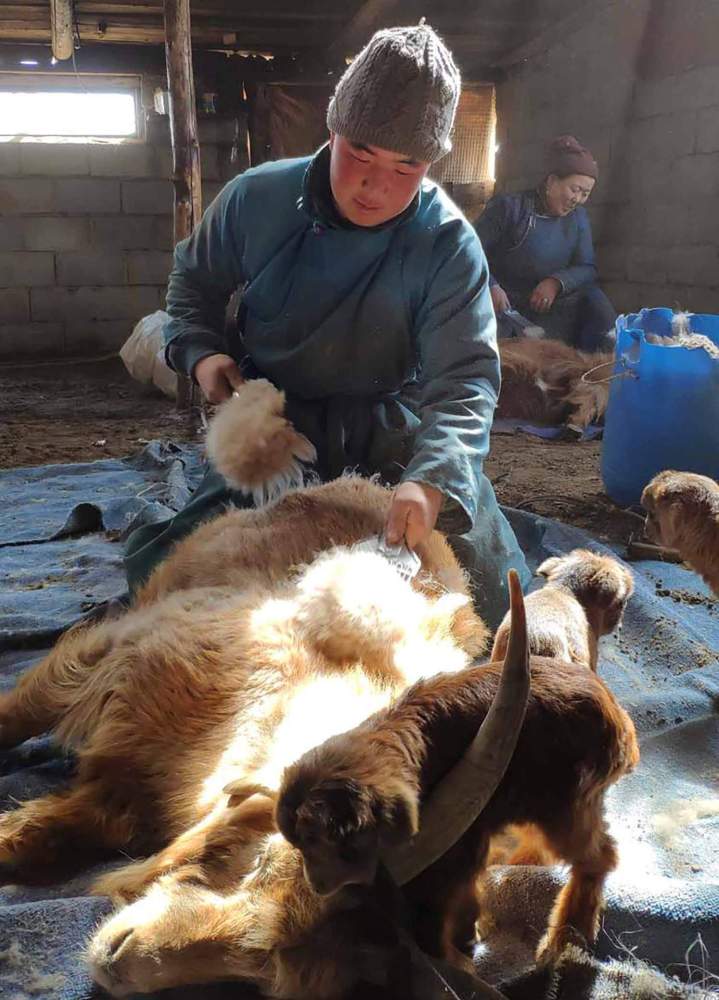 Inner Mongolian Cashmere Melbourne VIC